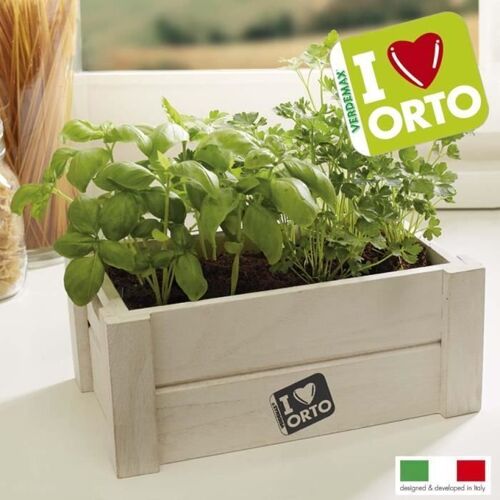 EASY ORTO BASILICO E PREZZEMOLO