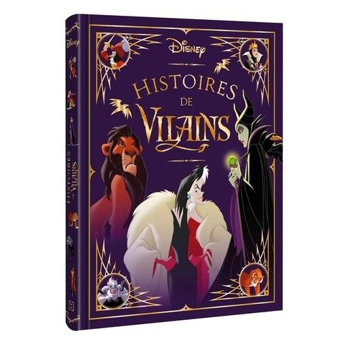 Histoires De Vilains
