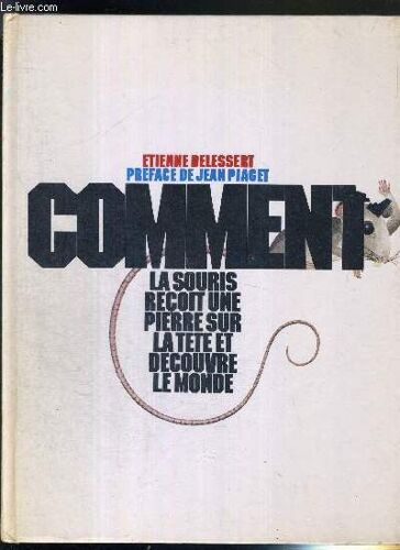 Comment La Souris Recoit Une Pierre Sur La Tete Et Decouvre Le Monde