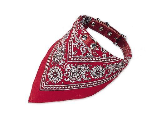 Nobby Collier Avec Bandana Pour Chien