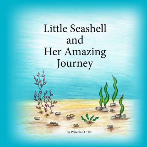 Little Seashell And Her Amazing Journey
