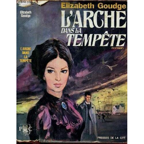 L'arche Dans La Tempete