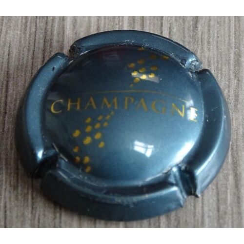 Capsule Generique De Champagne