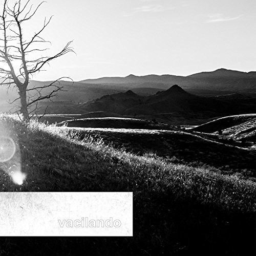 Vacilando - While They Were Dancing [Cd]