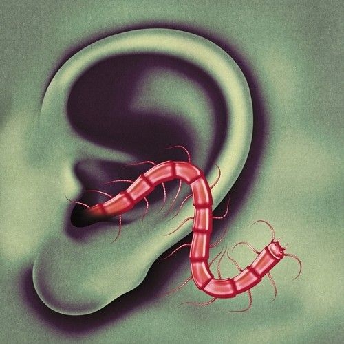 Thee Oh Sees - An Odd Entrances [Vinyl]