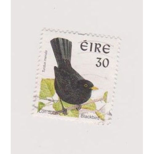 Timbre Irlande Oiseau Oiseaux 30 