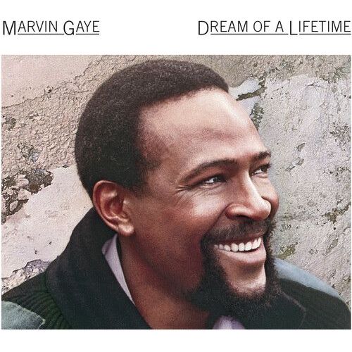 Marvin Gaye - Dream Of A Lifetime [Cd] Holland - Import