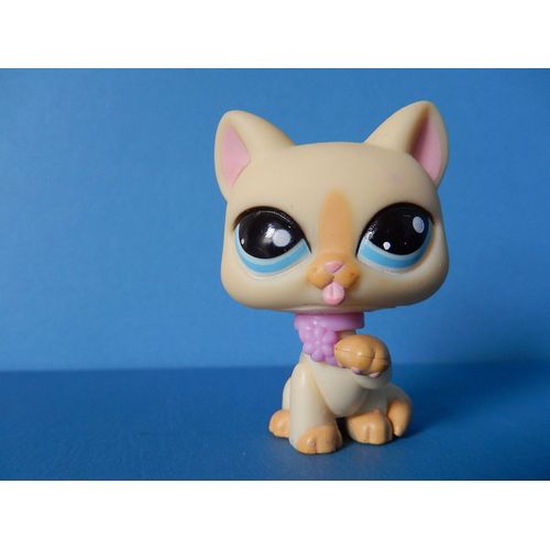 Petshop Chat Chartreux N° 981