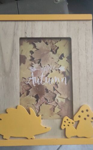 Cadre enfant hérisson et champignons en bois et verre à accrocher ou à poser 17x22,5cm