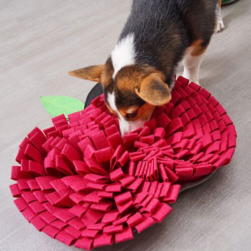 Tapis À Renifler Pour Chien, Jouet Interactif, Puzzle, Distributeur De Friandises