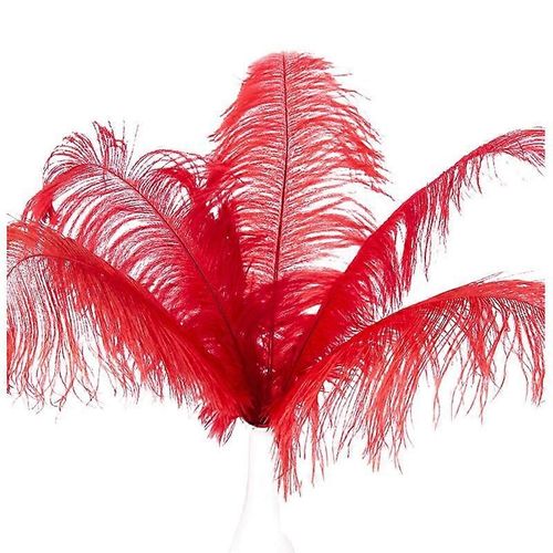10 Pcs Plumes D¿Autruche Naturelles Décoration De Mariage Rouge 20-25cm