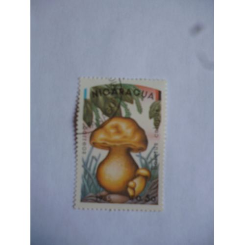 Timbre Nicaragua 1985 :Boletus Calopus.