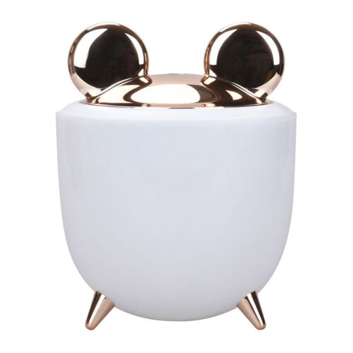 Mini veilleuse à ultrasons, humidificateur d'air, brumisateur USB, reconstituant la beauté