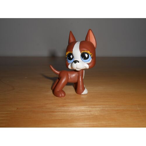 Petshop Chien Danois N° 588 Dogue Argentin