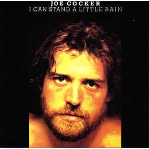 I Can Stand A Little Rain