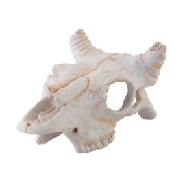 Exo Terra Décoration Crâne De Buffle - Pour Terrarium