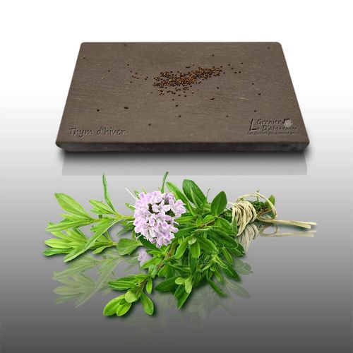 100 Graines Aromatiques À Semer - Le Grenier D'abondance - Thym D'hiver - Thymus