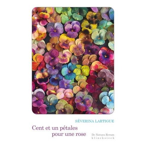 Cent Et Un Pétales Pour Une Rose