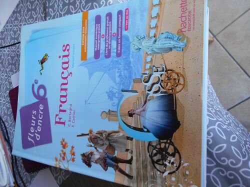 Fleurs D'encre 6ème - Français