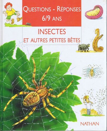 Insectes Et Autres Petites Bêtes