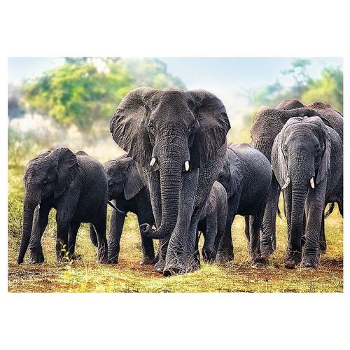 Puzzle 1000 Pièces Éléphants Africains