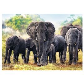 Puzzle 1000 pièces Éléphants africains