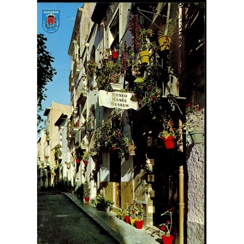 Carte Postale D' Alicante  (Espagne)  Rue Toledo
