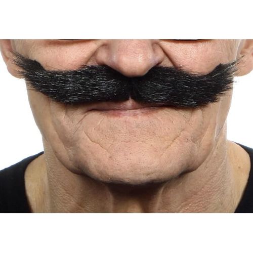 Moustache Du Peintre
