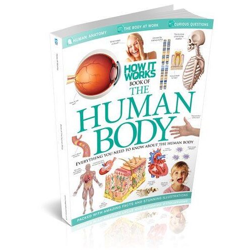 How It Works Book Of The Human Body