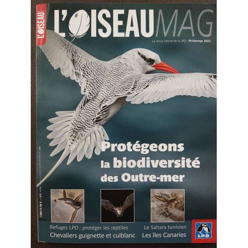 L'oiseau Mag