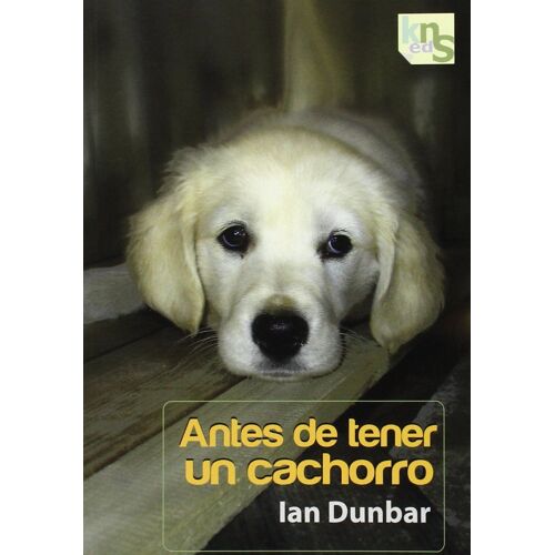 Antes De Tener Un Cachorro