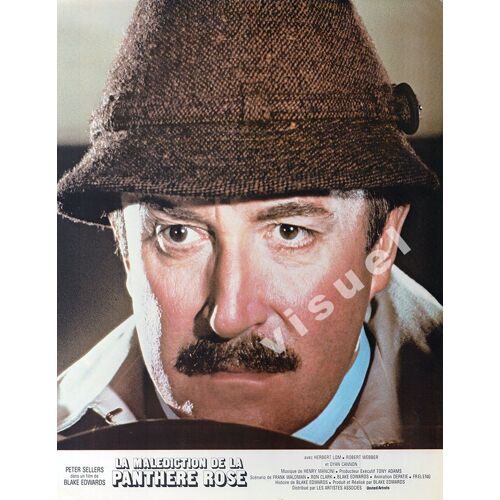 La Malédiction De La Panthère Rose (The Revenge Of The Pink Panther): Photo D'exploitation Cinématographique - Format 20x30 Cm - De Blake Edwards Avec Peter Sellers, Herbert Lom, Dyan Cannon - 1978 #