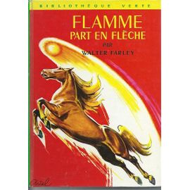 Flamme Part En Flèche