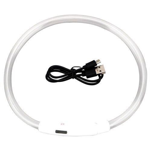 Collier De Nuit Lumineux Pour Chien, Rechargeable, Led Usb, Clignotant, Accessoire De Sécurité Pour Animaux De Compagnie