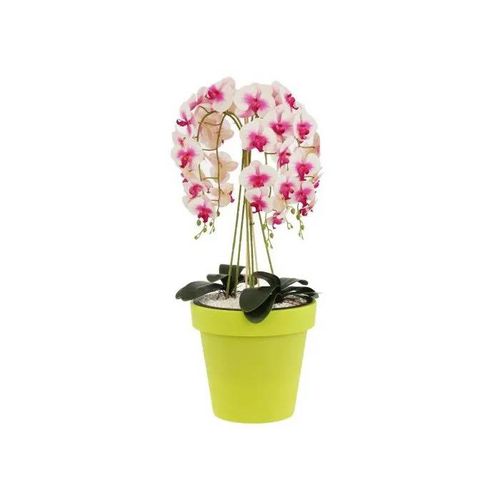Pot De Fleurs Limonka Rond, Cache-Pot Classique Lisse Mat Ø 35 Cm, Plastique