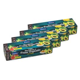 Lot 4x Salade De Fruits - 3 X 227g - Pack 681g