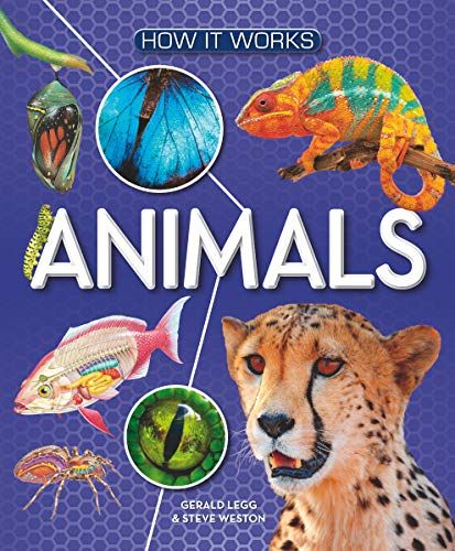 How It Works: Animals
