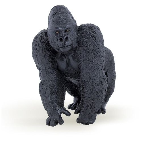 LA VIE SAUVAGE Gorille