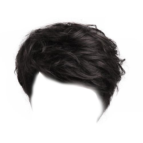 Perruques En Cheveux Humains Pour Hommes, Cheveux Courts, Perruque Complète, Perruques De Cosplay (Noir)