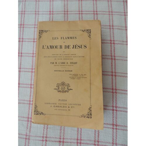 Les Flammes De L'amour De Jésus 