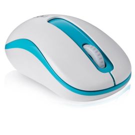 Rapoo M10 PLUS - Souris - optique - 3 boutons - sans fil - 2.4 GHz - récepteur sans fil USB - bleu
