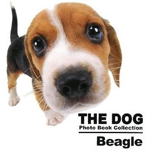 The Dog Photo Book Collection Beagle (The Dog Photo Book Collection)