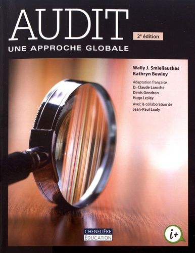 Audit : Une Approche Globale