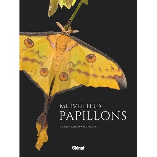 Merveilleux Papillons