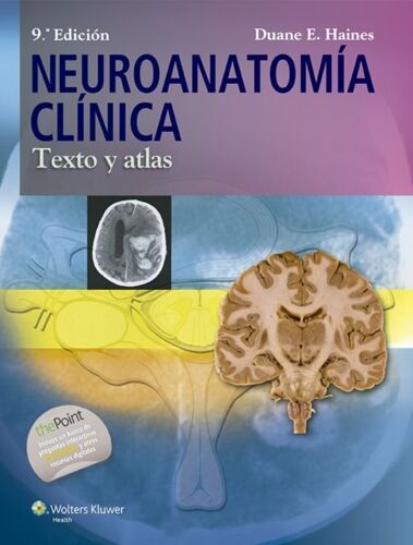 Neuroanatomia Clinica