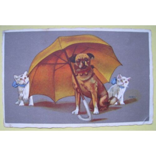 Carte Postale Chien Sous Un Parapluie Et Deux Chats
