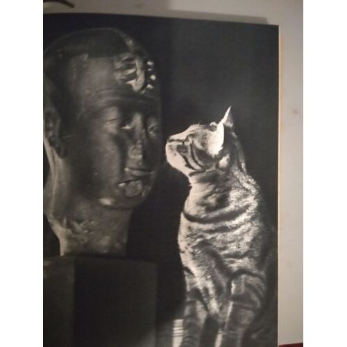 Fernand Méry. Sa Majesté Le Chat