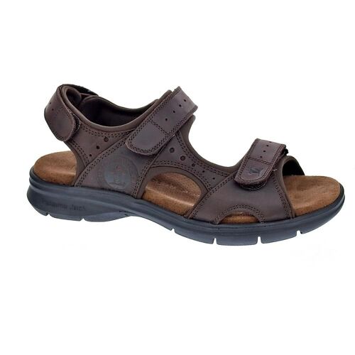 Panama Jack Salton Basics C1 Sandales Homme Marron - 44