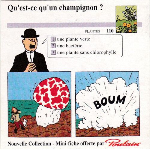 Chocolat Poulain/Atlas Mini-Fiche Tintin Qu'est-Ce Qu'un Champignon