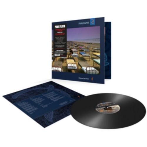 A Momentary Lapse Of Reason [Vinyl]